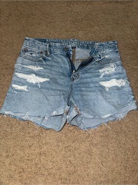 American Eagle Outfitters Light Wash Distressed Denim Shorts